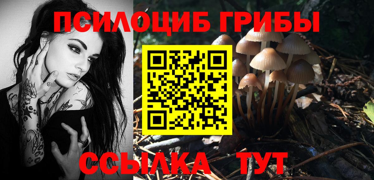 Галлюциногенные грибы Cubensis Партизанск